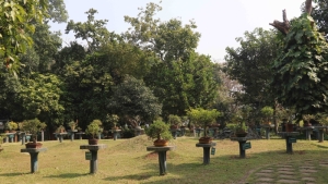 Bonsai Garden