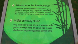 Bambusetum