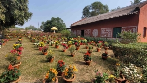 Mughal Garden