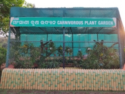 Carnivorous Plant Garden