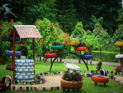 Bougainvillea Garden