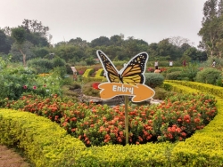 Butterfly Park